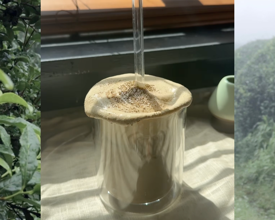 Blog: Chilled, Grounded: Making a Double Black Matcha the Wild Orchard Way