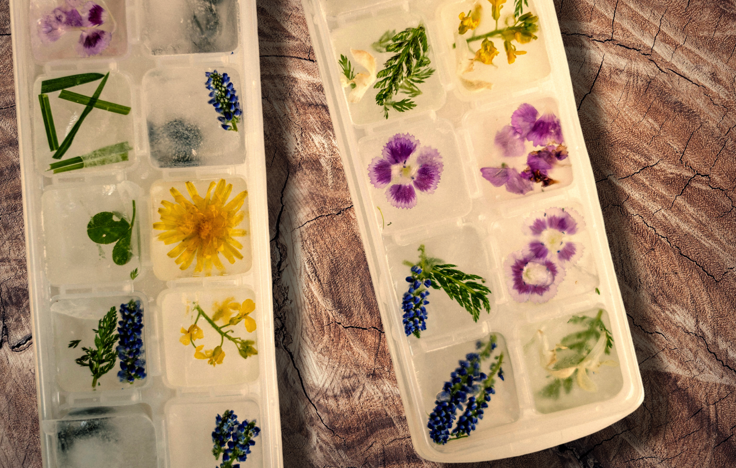 Blog: Sip Smarter: Tea-Paired Ice Cubes That Transform Every Glass by Wild Orchard