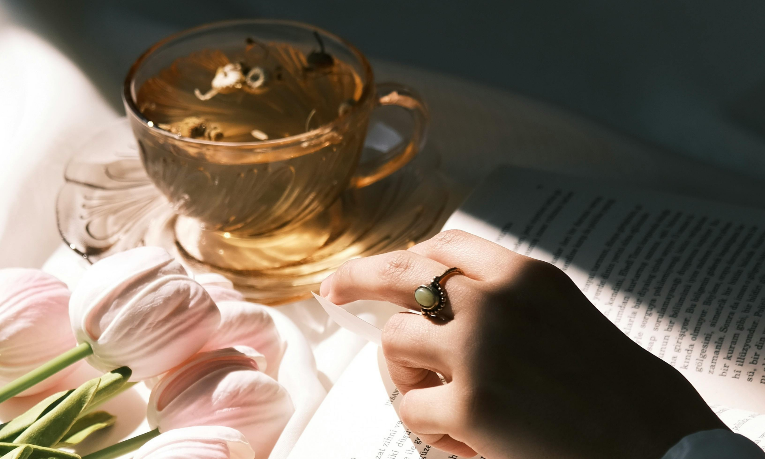 How to Enjoy Oolong Tea: Brewing Tips and Wellness Benefits