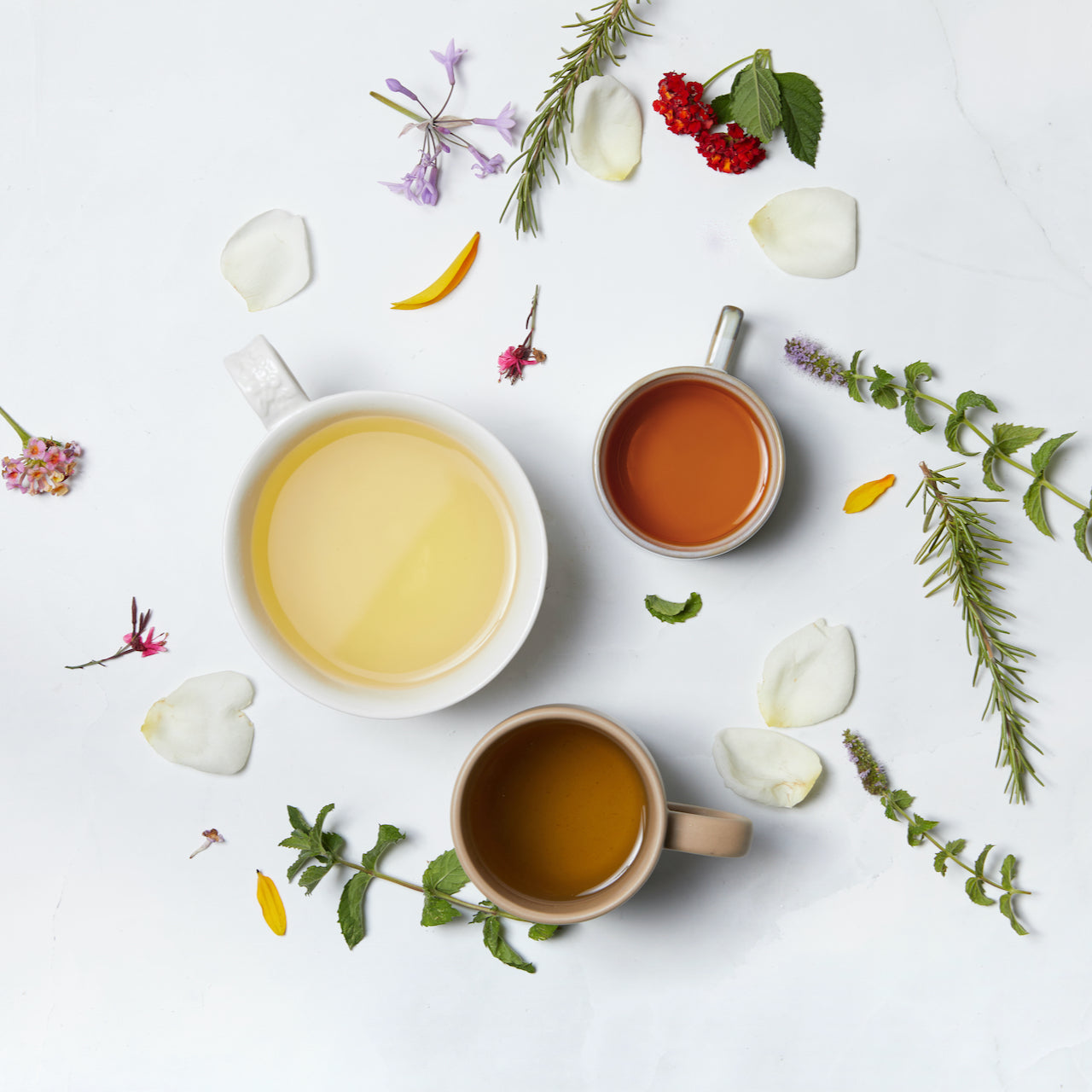 Tea Every Day - It's easier than you think! image of teas and flowers