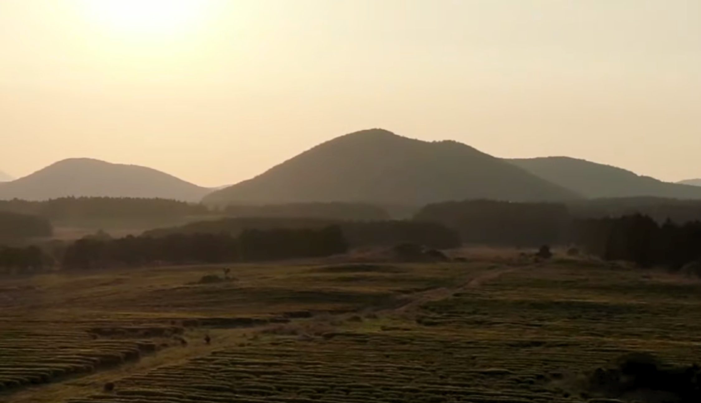 Blog: Why Black Matcha Is the Perfect Companion to Chocolate, by Wild Orchard Tea. Image of mountains in tones of brown