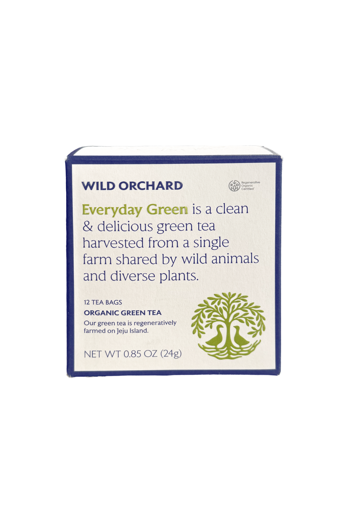 Everyday Green - Organic Green Tea Bag