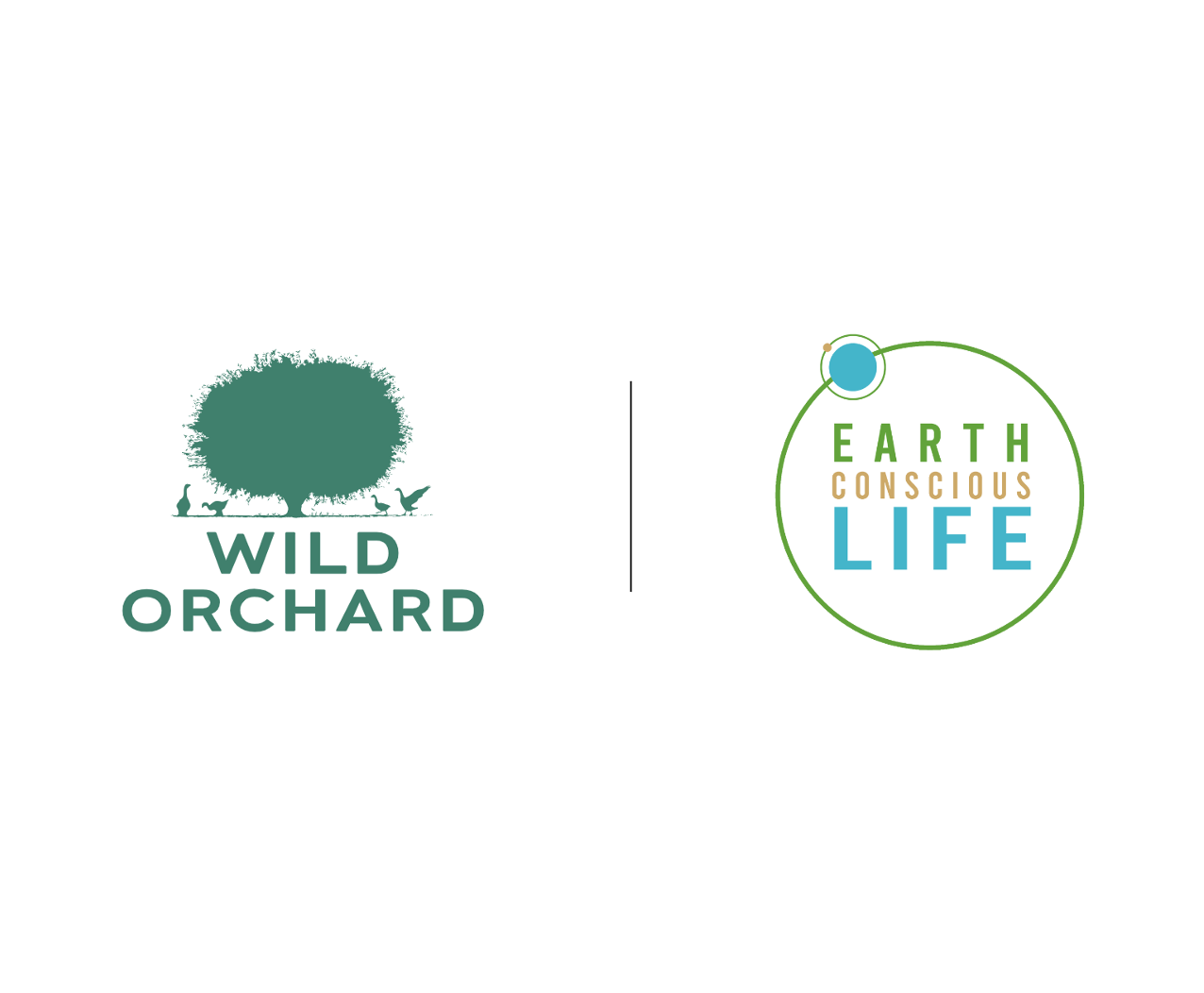 Assorted Organic Teas by Wild Orchard Award Winning Teas, image of Wild Orchard and Earth Conscious Life logos