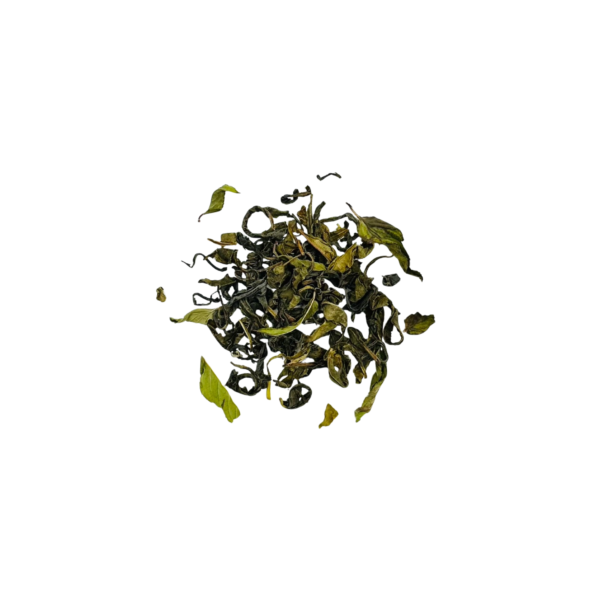 Peppermint Green Tea - Loose Leaf by Wild Orchard Tea