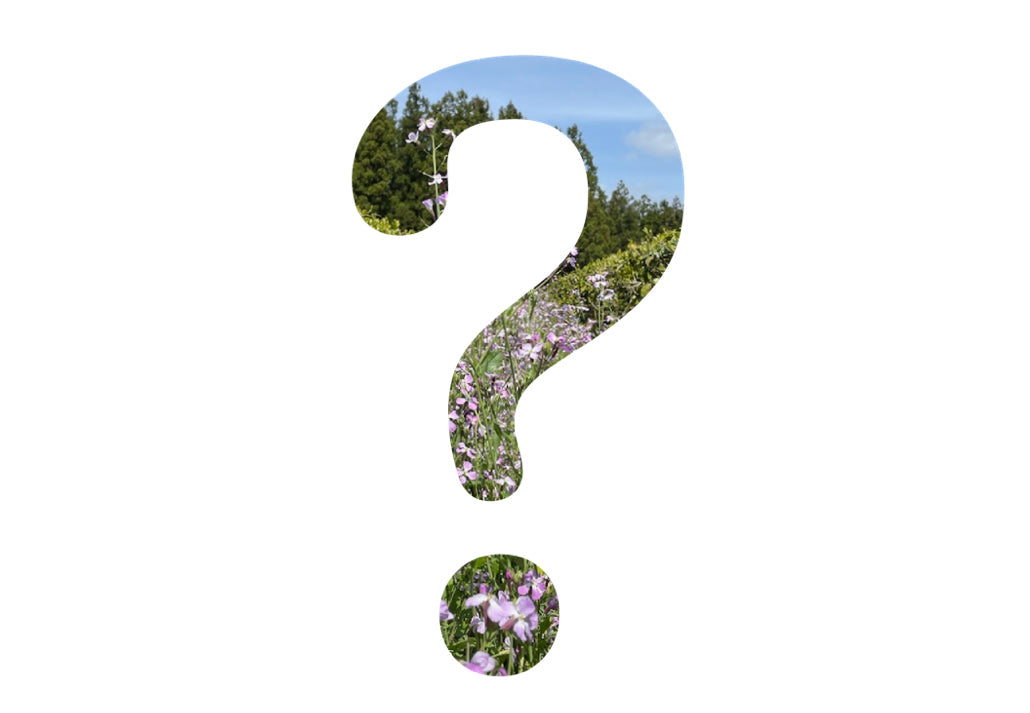 Regenerative Agriculture Explained by Wild Orchard Tea