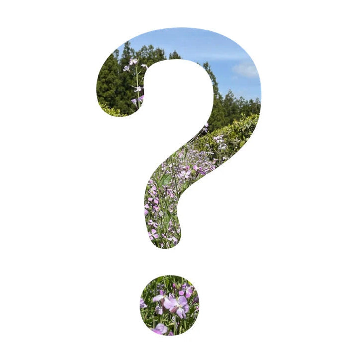 Regenerative Agriculture