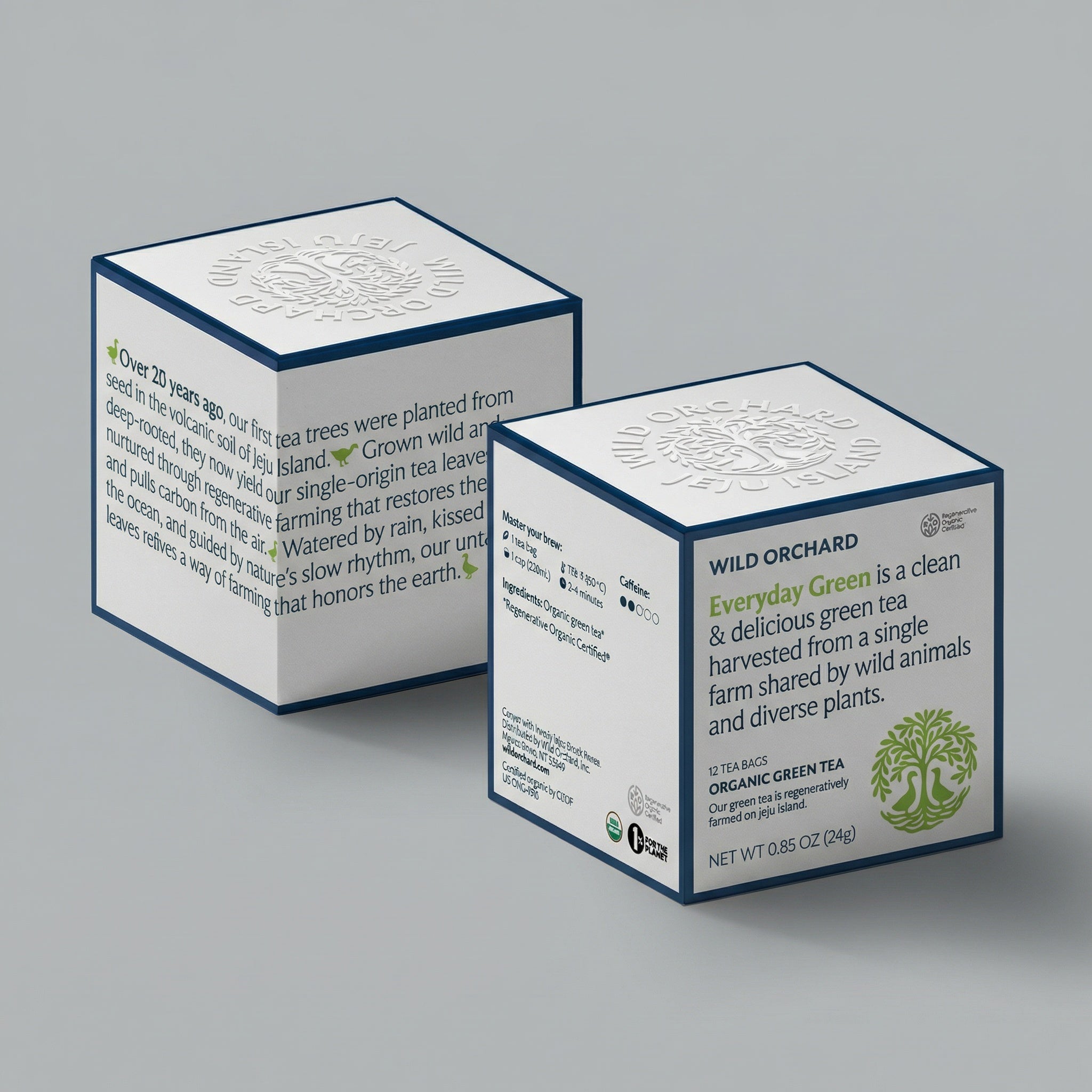 Everyday Organic Green Tea Bags by Wild Orchard Tea