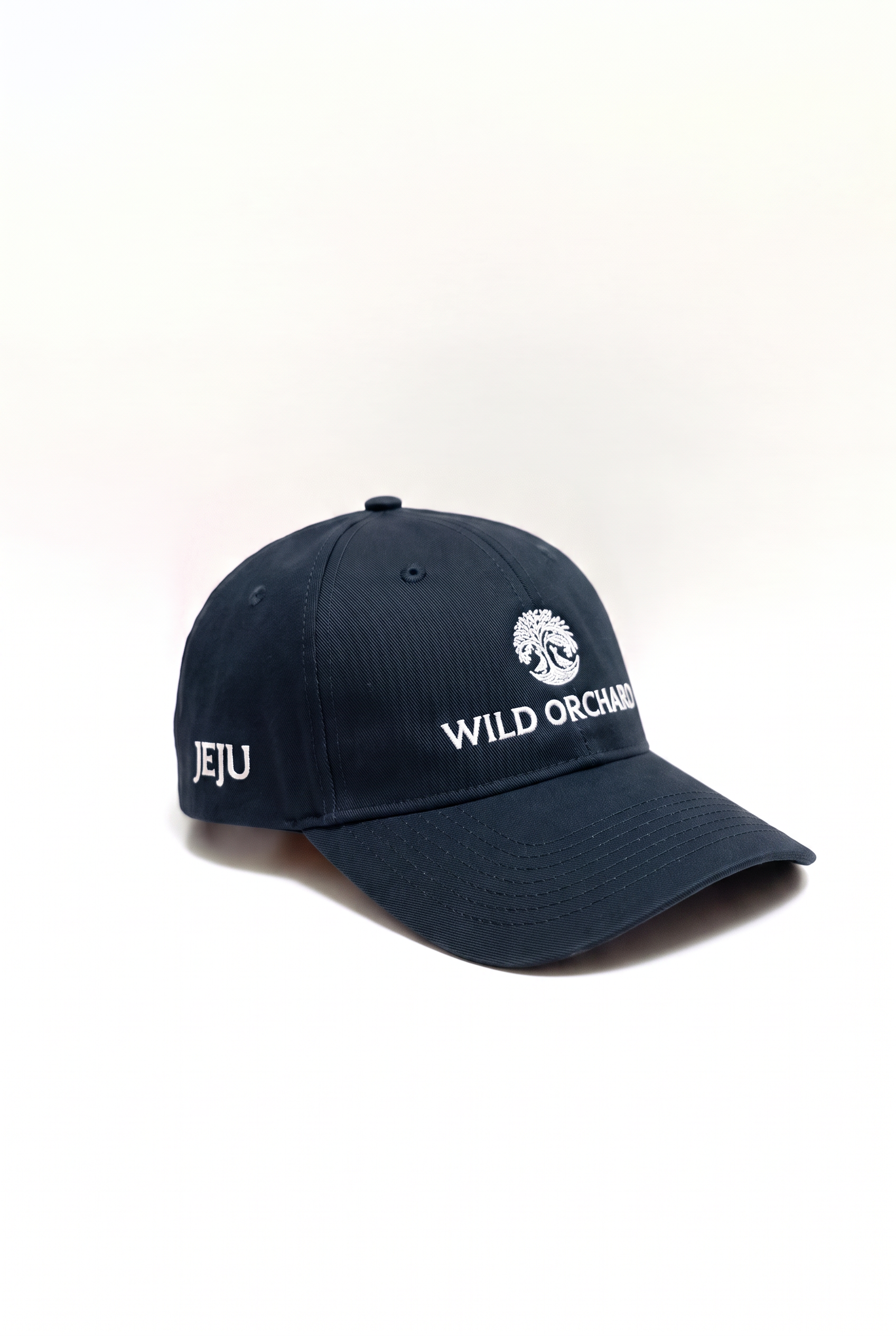 NEW ERA Hat