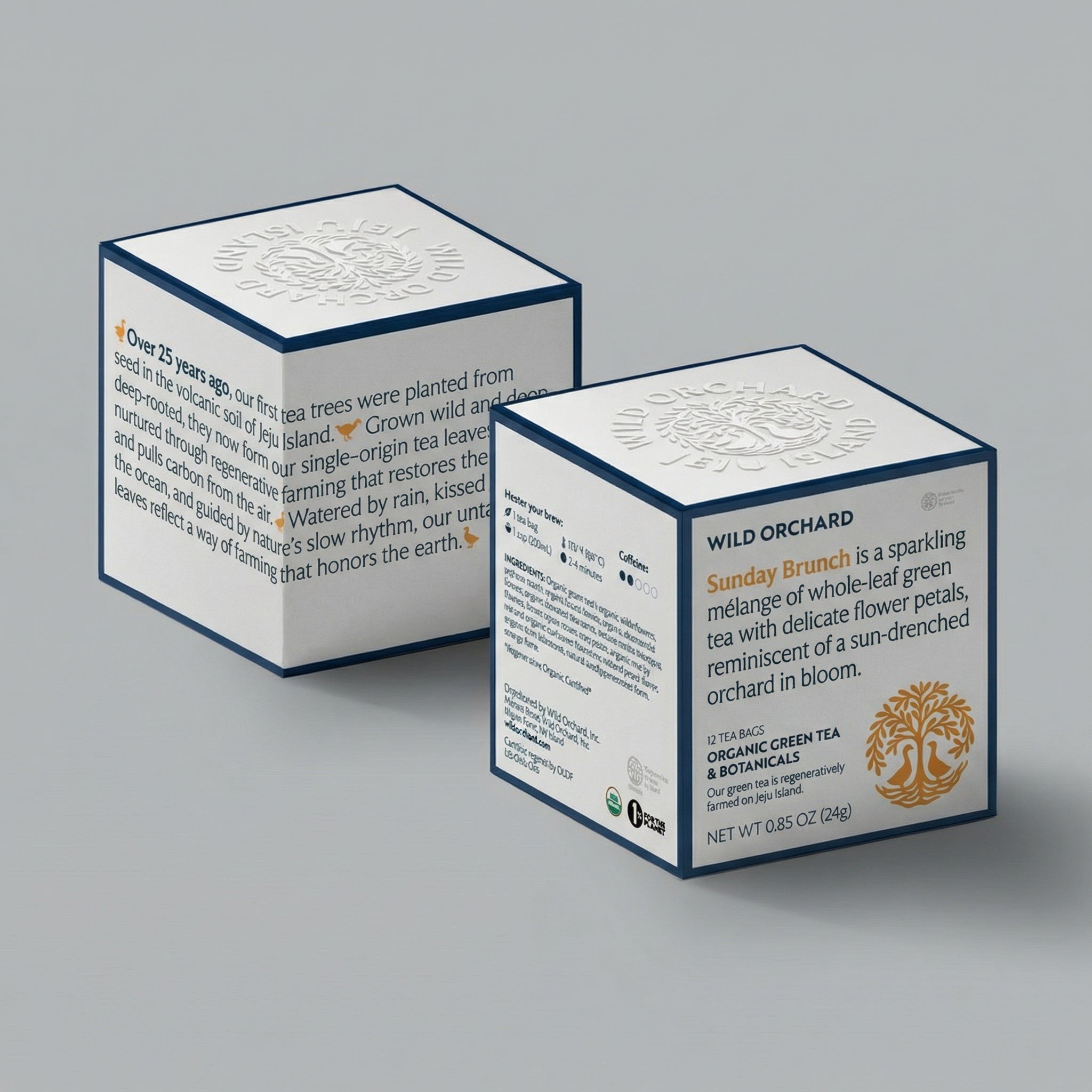 Sunday Brunch - Organic Green Tea Bag